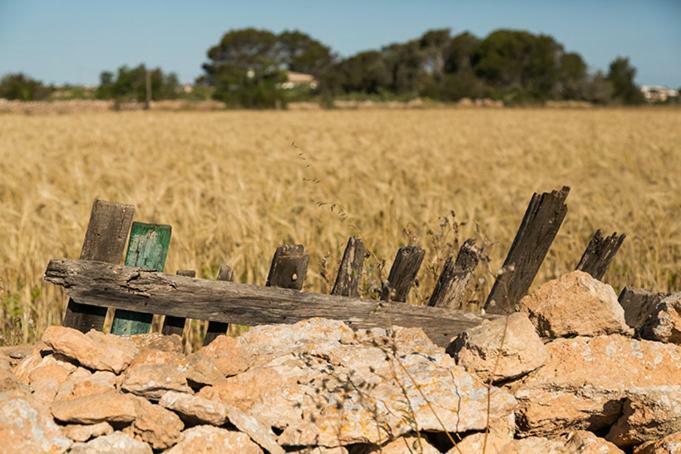 Ca Na Maria Teueta Leilighet San Ferrán de ses Roques Eksteriør bilde